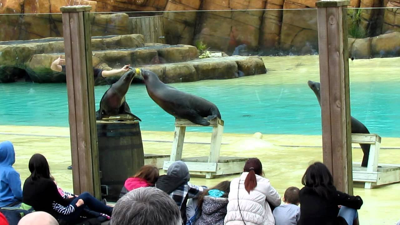 🌳 에도가와구 자연 동물원(에도가와쿠 시젠 도부츠엔) 이미지 7